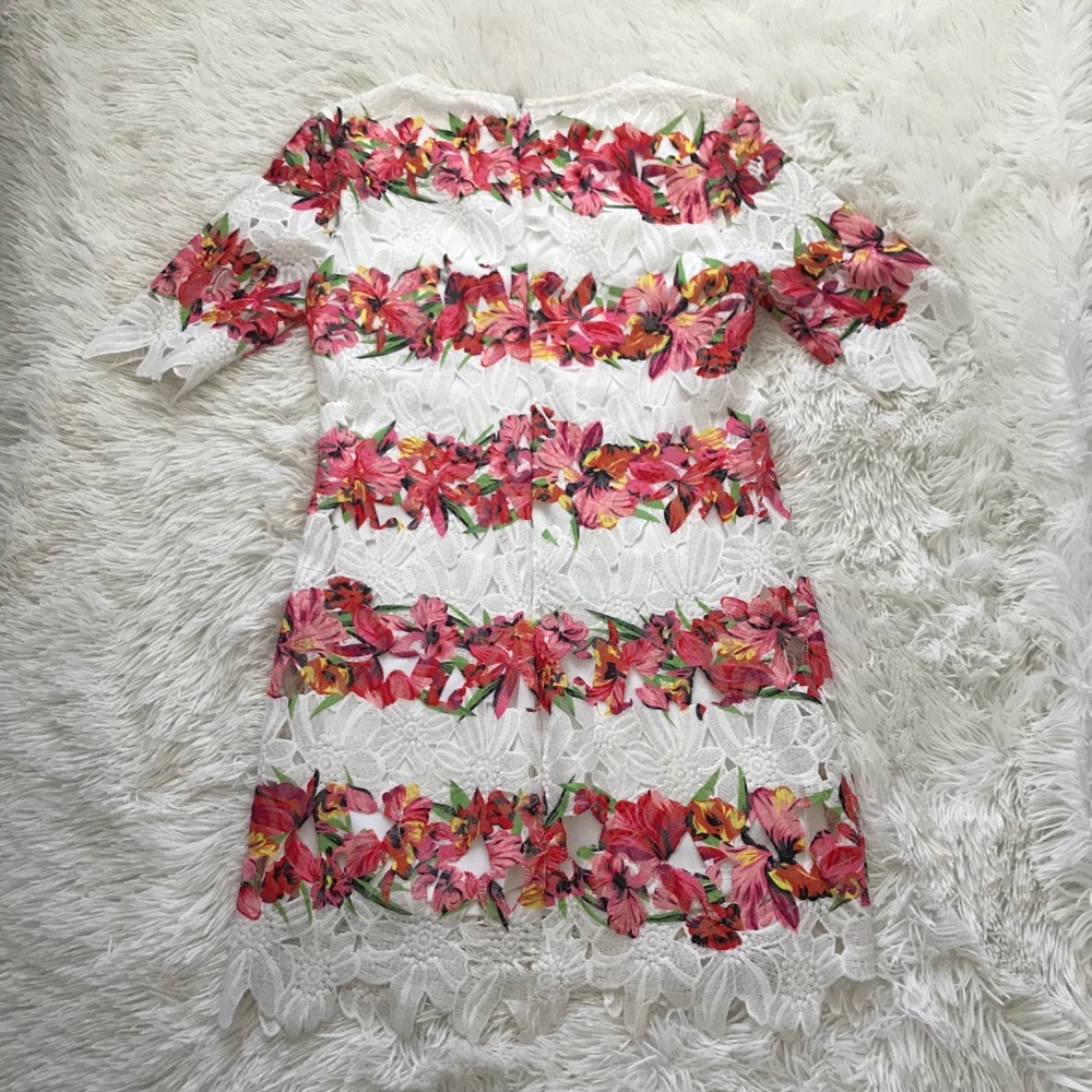 Red Dress Boutique White & Pink Floral Lace Dress - Picture 2 of 3
